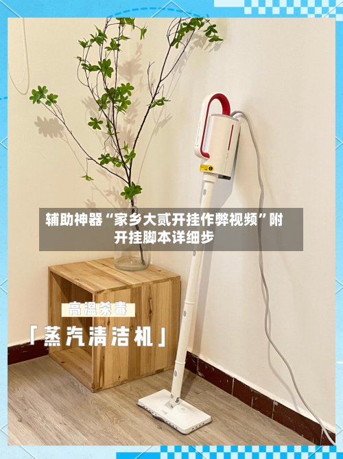 辅助神器“家乡大贰开挂作弊视频	”附开挂脚本详细步-第1张图片