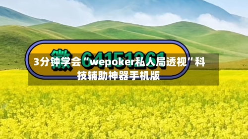 3分钟学会“wepoker私人局透视	”科技辅助神器手机版-第1张图片