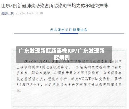 广东发现新冠新毒株KP/广东发现新冠病例-第1张图片