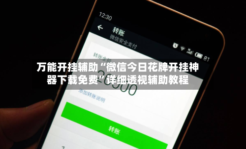 万能开挂辅助“微信今日花牌开挂神器下载免费”详细透视辅助教程-第1张图片