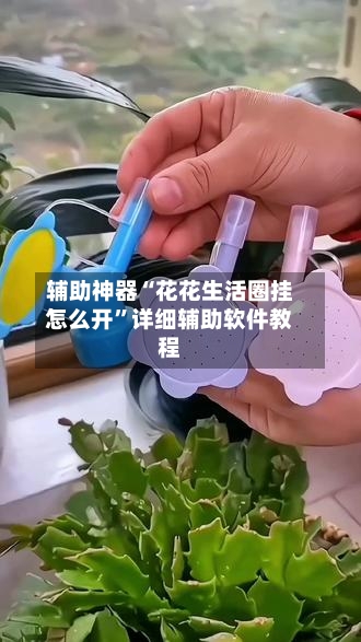 辅助神器“花花生活圈挂怎么开	”详细辅助软件教程-第1张图片