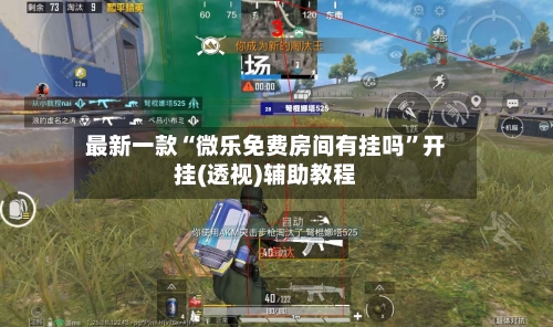 最新一款“微乐免费房间有挂吗”开挂(透视)辅助教程-第1张图片