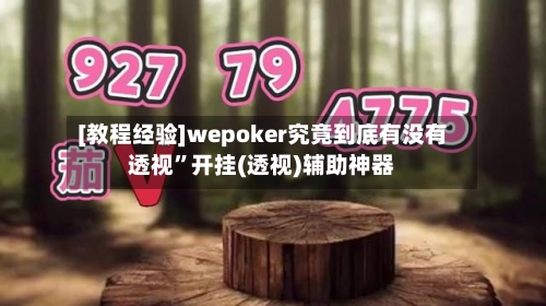 [教程经验]wepoker究竟到底有没有透视	”开挂(透视)辅助神器-第1张图片