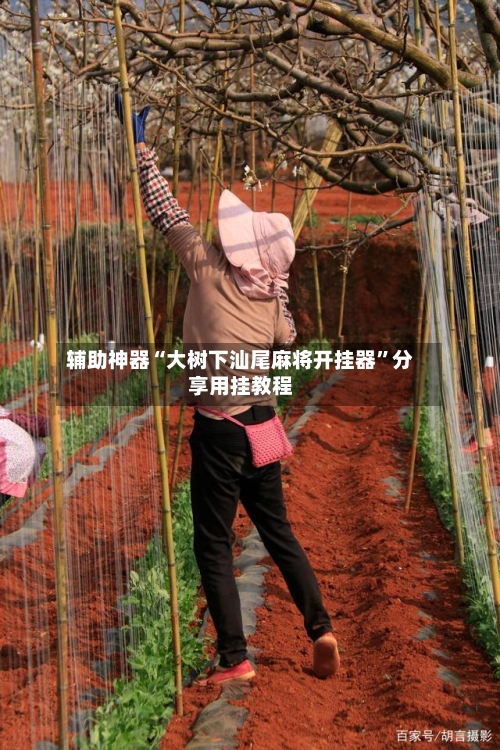 辅助神器“大树下汕尾麻将开挂器	”分享用挂教程-第1张图片