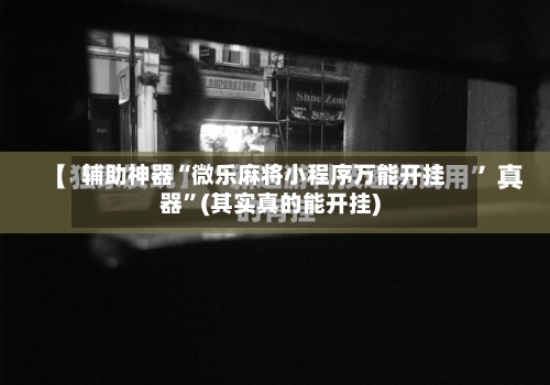 辅助神器“微乐麻将小程序万能开挂器	”(其实真的能开挂)-第1张图片