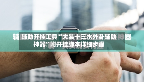 辅助开挂工具“大头十三水外卦辅助神器	”附开挂脚本详细步骤-第1张图片