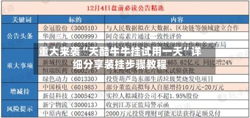 重大来袭“天酷牛牛挂试用一天	”详细分享装挂步骤教程-第1张图片