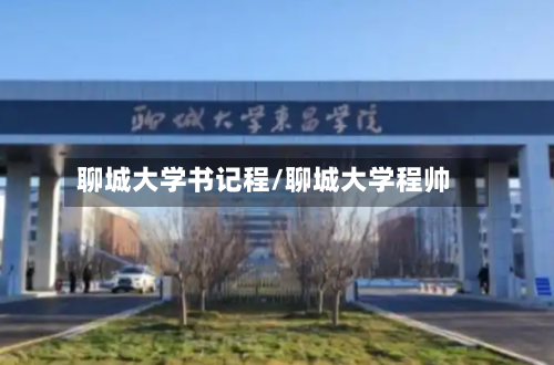 聊城大学书记程/聊城大学程帅-第1张图片