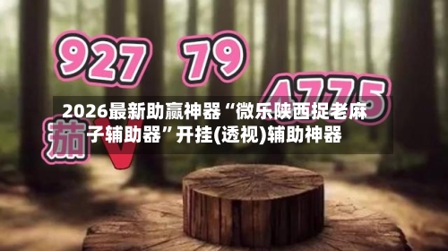 2026最新助赢神器“微乐陕西捉老麻子辅助器”开挂(透视)辅助神器-第1张图片