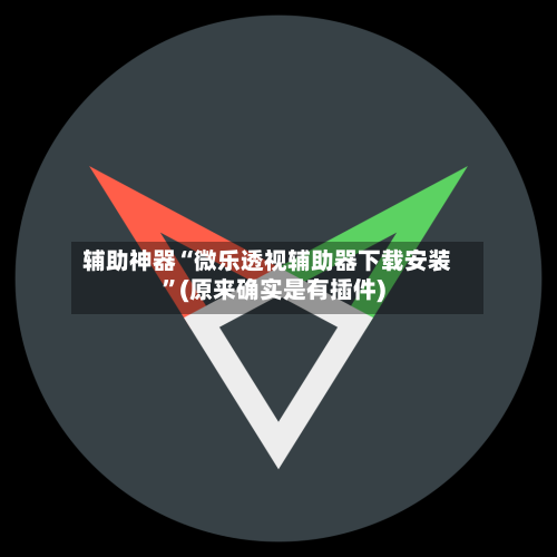 辅助神器“微乐透视辅助器下载安装	”(原来确实是有插件)-第1张图片