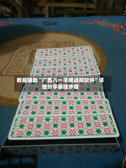 教程辅助“广西八一字牌透视软件”详细分享装挂步骤-第1张图片