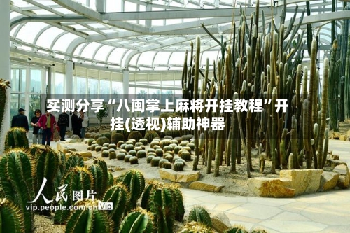 实测分享“八闽掌上麻将开挂教程”开挂(透视)辅助神器-第1张图片