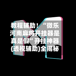 教程辅助！“微乐河南麻将开挂器是真是假	”开挂神器{透视辅助}全揭秘-第1张图片