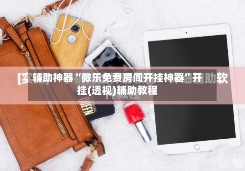 辅助神器“微乐免费房间开挂神器”开挂(透视)辅助教程-第1张图片