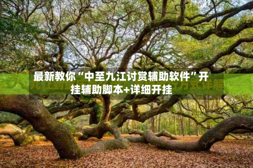 最新教你“中至九江讨赏辅助软件	”开挂辅助脚本+详细开挂-第1张图片