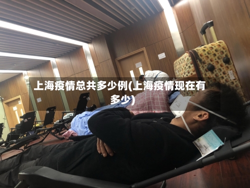 上海疫情总共多少例(上海疫情现在有多少)-第1张图片