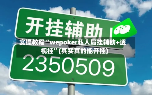 实操教程“wepoker私人局挂辅助+透视挂”(其实真的能开挂)-第1张图片
