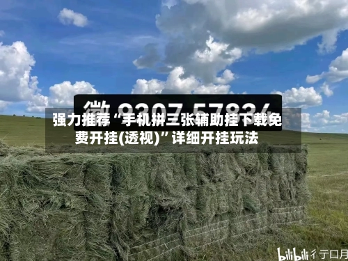 强力推荐“手机拼三张辅助挂下载免费开挂(透视)	”详细开挂玩法-第1张图片