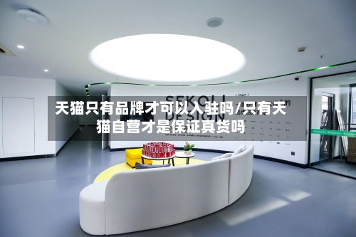 天猫只有品牌才可以入驻吗/只有天猫自营才是保证真货吗-第1张图片