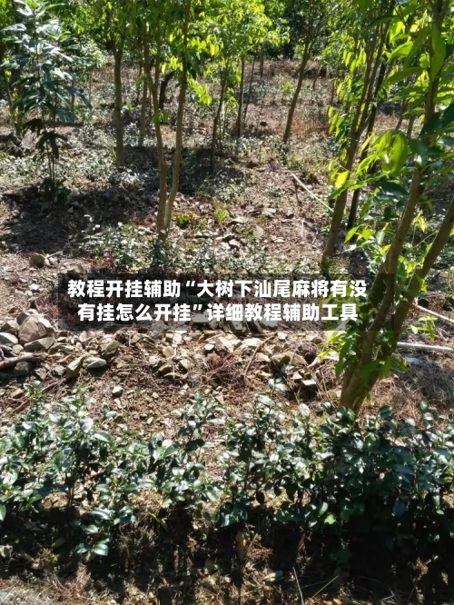 教程开挂辅助“大树下汕尾麻将有没有挂怎么开挂”详细教程辅助工具-第1张图片