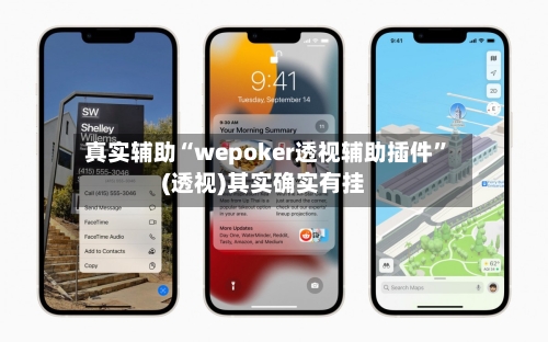 真实辅助“wepoker透视辅助插件	”(透视)其实确实有挂-第1张图片