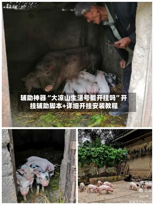 辅助神器“大凉山生活号能开挂吗”开挂辅助脚本+详细开挂安装教程-第1张图片