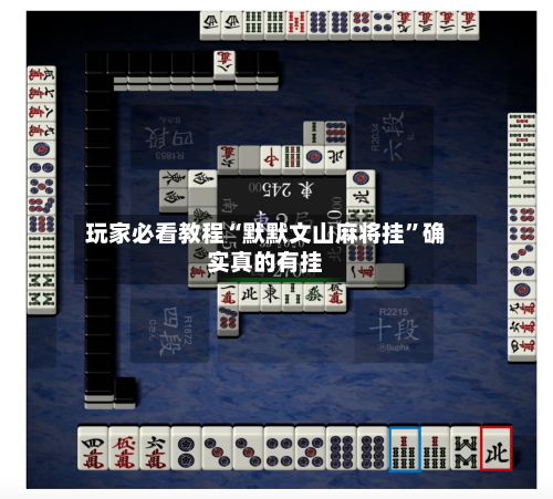 玩家必看教程“默默文山麻将挂”确实真的有挂-第1张图片