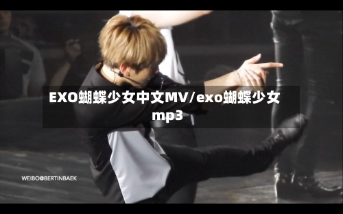 EXO蝴蝶少女中文MV/exo蝴蝶少女mp3-第1张图片