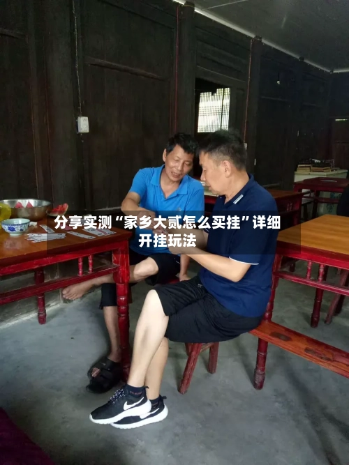 分享实测“家乡大贰怎么买挂”详细开挂玩法-第1张图片