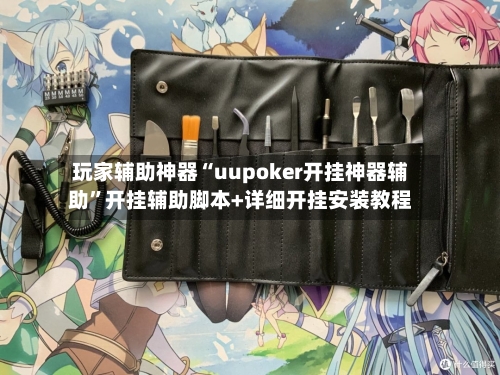 玩家辅助神器“uupoker开挂神器辅助	”开挂辅助脚本+详细开挂安装教程-第1张图片