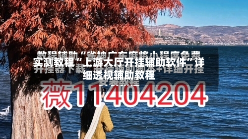 实测教程“上游大厅开挂辅助软件”详细透视辅助教程-第1张图片