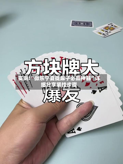 实测!“微乐宁夏捉麻子必赢神器	”详细分享装挂步骤-第1张图片