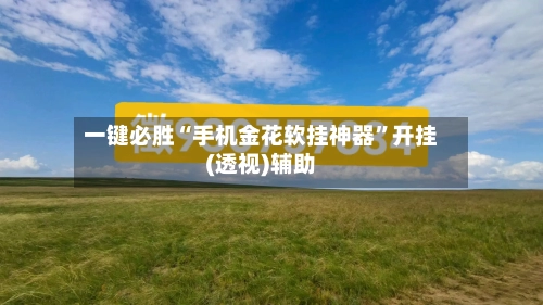 一键必胜“手机金花软挂神器”开挂(透视)辅助-第1张图片