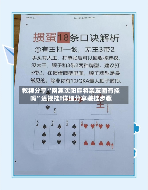 教程分享“网趣沈阳麻将亲友圈有挂吗”透视挂!详细分享装挂步骤-第1张图片