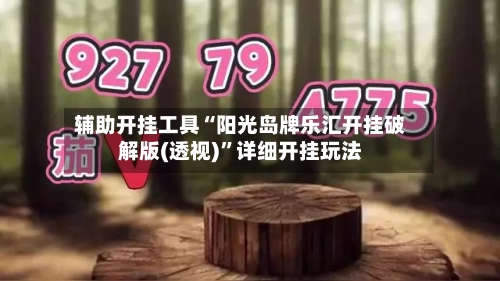 辅助开挂工具“阳光岛牌乐汇开挂破解版(透视)	”详细开挂玩法-第1张图片