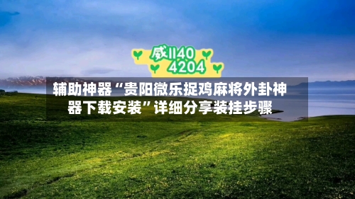辅助神器“贵阳微乐捉鸡麻将外卦神器下载安装”详细分享装挂步骤-第1张图片