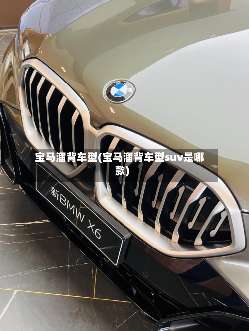 宝马溜背车型(宝马溜背车型suv是哪款)-第1张图片
