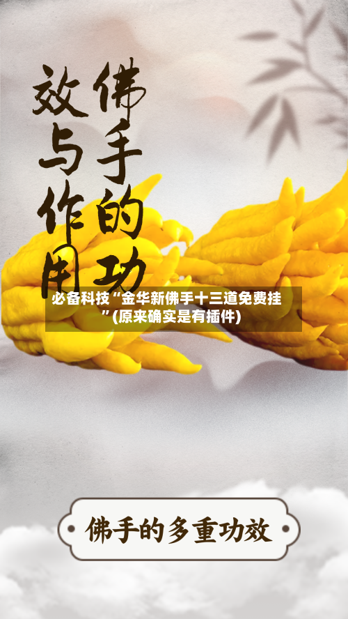 必备科技“金华新佛手十三道免费挂	”(原来确实是有插件)-第1张图片