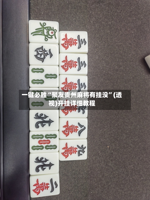 一键必胜“聚友贵州麻将有挂没”(透视)开挂详细教程-第1张图片