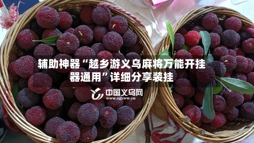 辅助神器“越乡游义乌麻将万能开挂器通用	”详细分享装挂-第1张图片