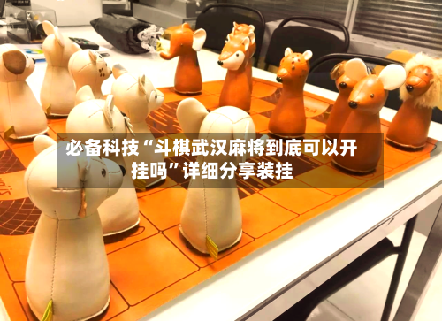 必备科技“斗棋武汉麻将到底可以开挂吗	”详细分享装挂-第1张图片