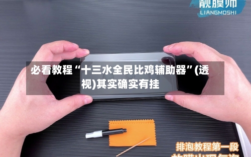 必看教程“十三水全民比鸡辅助器	”(透视)其实确实有挂-第1张图片