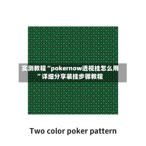 实测教程“pokernow透视挂怎么用	”详细分享装挂步骤教程-第1张图片