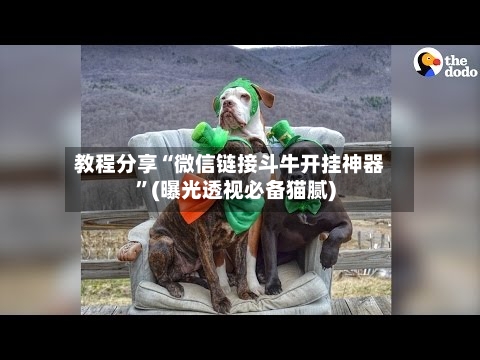 教程分享“微信链接斗牛开挂神器”(曝光透视必备猫腻)-第1张图片