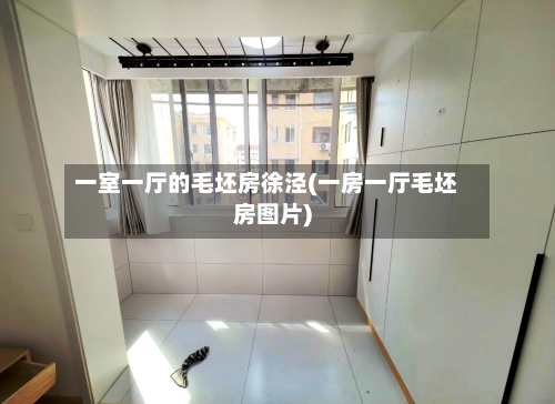 一室一厅的毛坯房徐泾(一房一厅毛坯房图片)-第1张图片