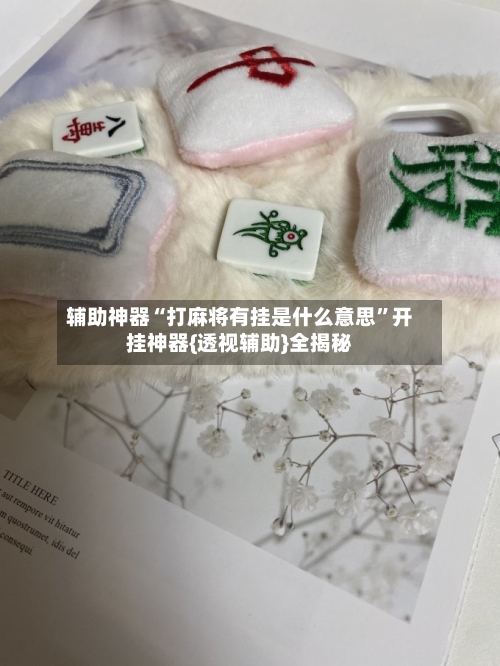 辅助神器“打麻将有挂是什么意思”开挂神器{透视辅助}全揭秘-第1张图片
