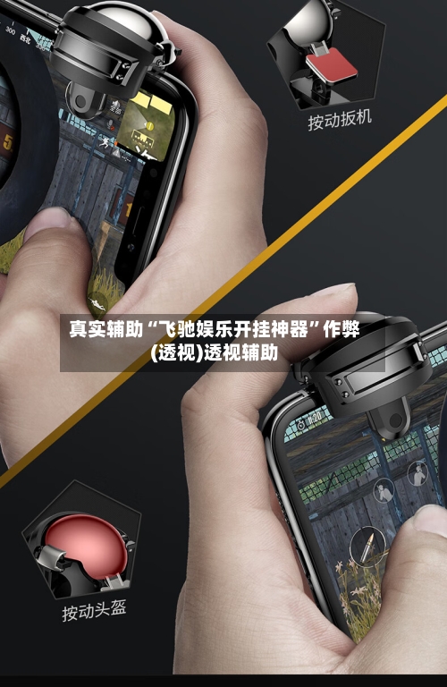 真实辅助“飞驰娱乐开挂神器”作弊(透视)透视辅助-第1张图片