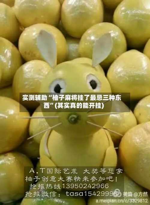 实测辅助“柚子麻将挂了最忌三种东西”(其实真的能开挂)-第1张图片