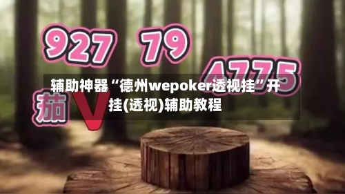 辅助神器“德州wepoker透视挂”开挂(透视)辅助教程-第1张图片