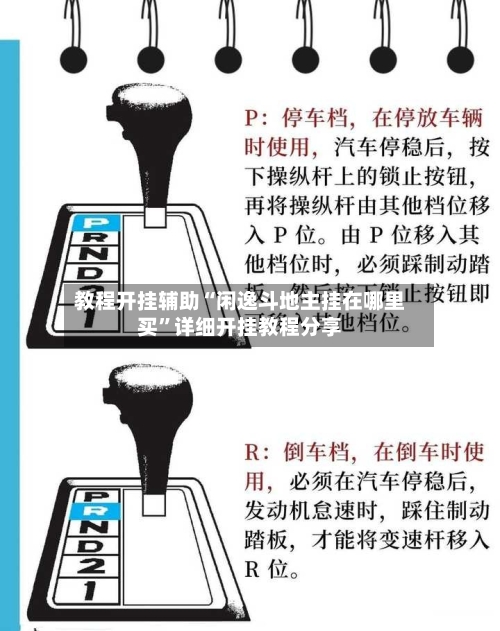 教程开挂辅助“闲逸斗地主挂在哪里买”详细开挂教程分享-第1张图片